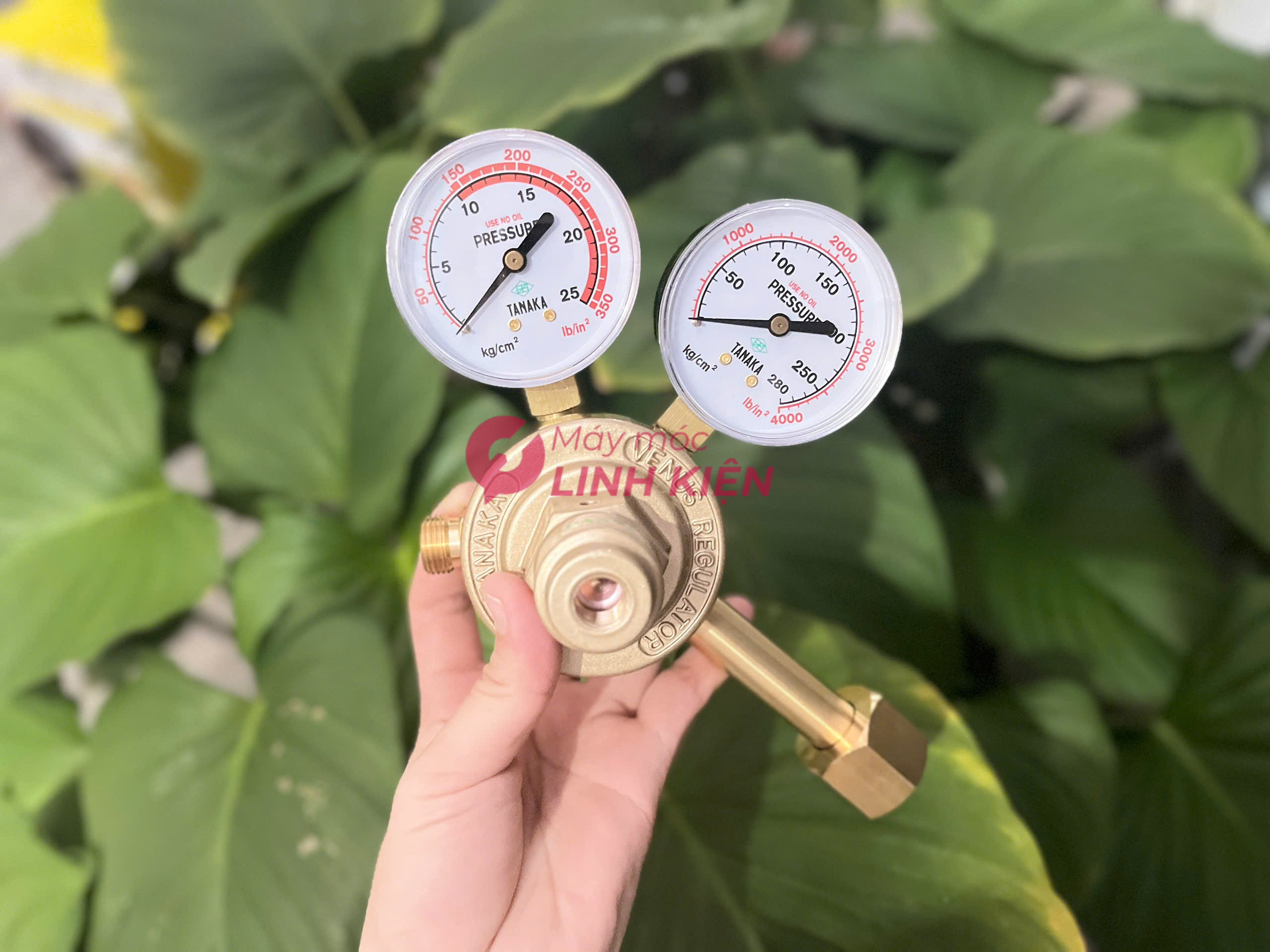 Đồng Hồ Oxy Tanaka Venus Oxy CGA-540L 4
