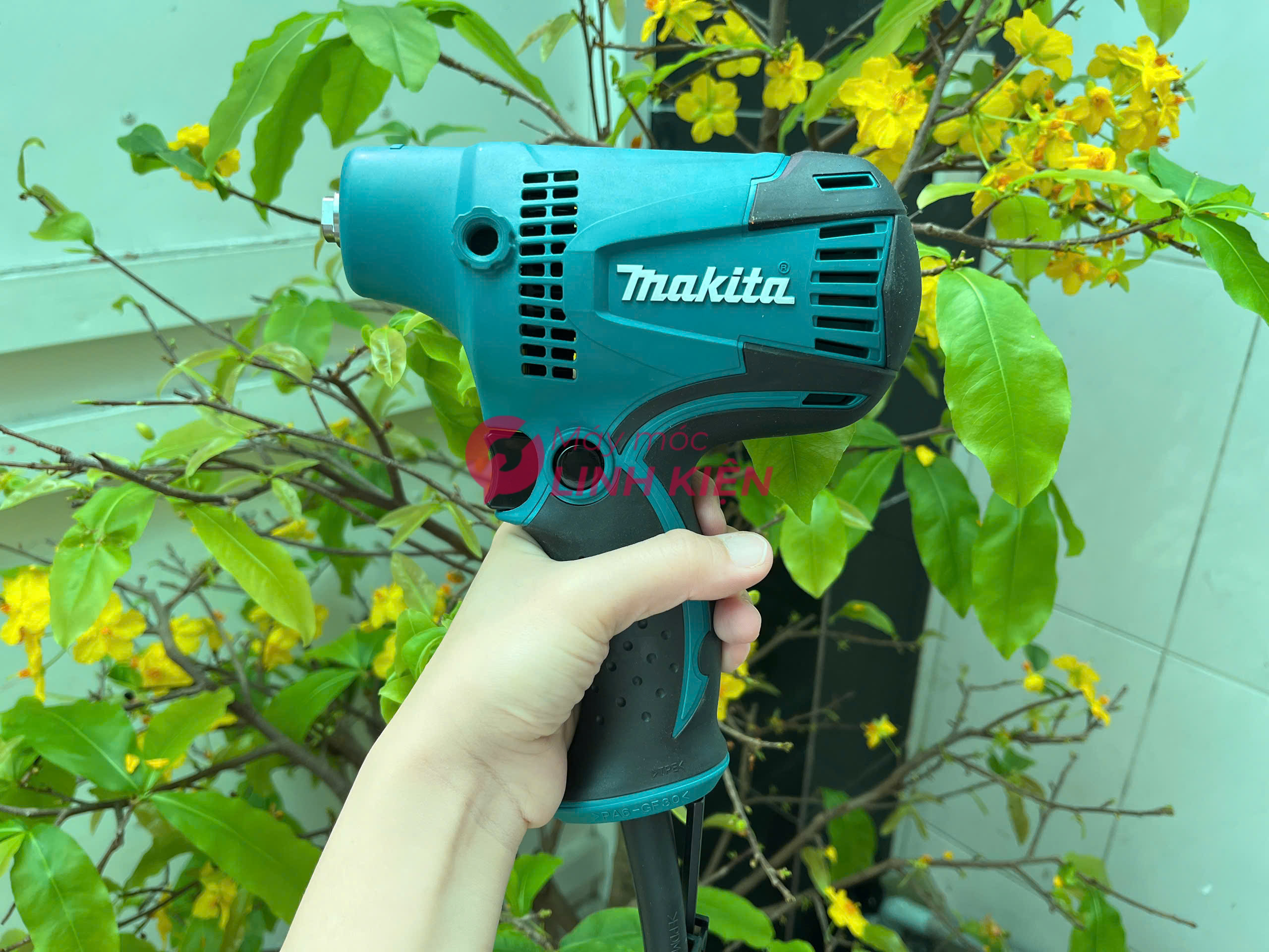 Máy chà nhám đĩa Makita GV6010 6" 4