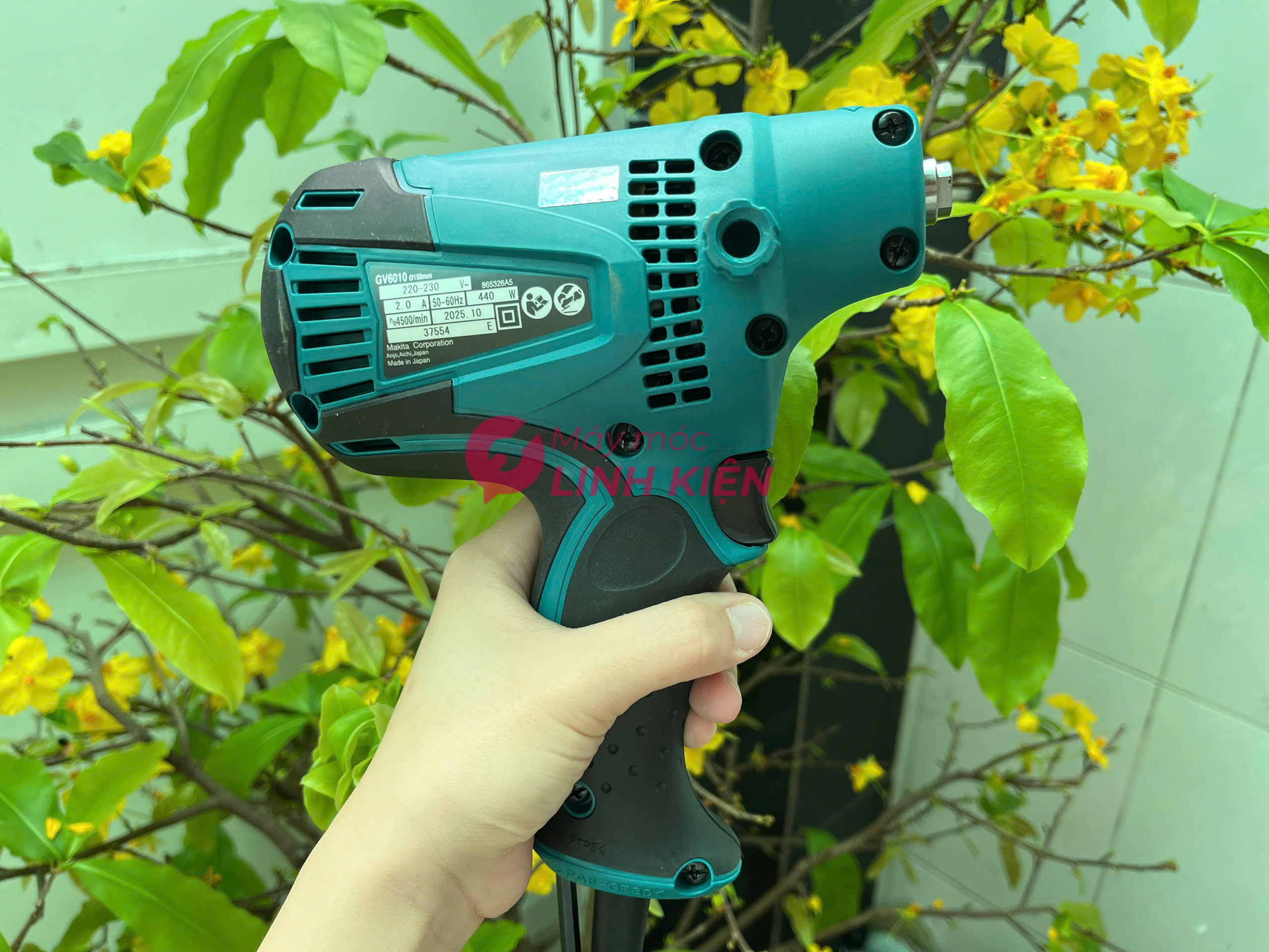 Máy chà nhám đĩa Makita GV6010 6" 5
