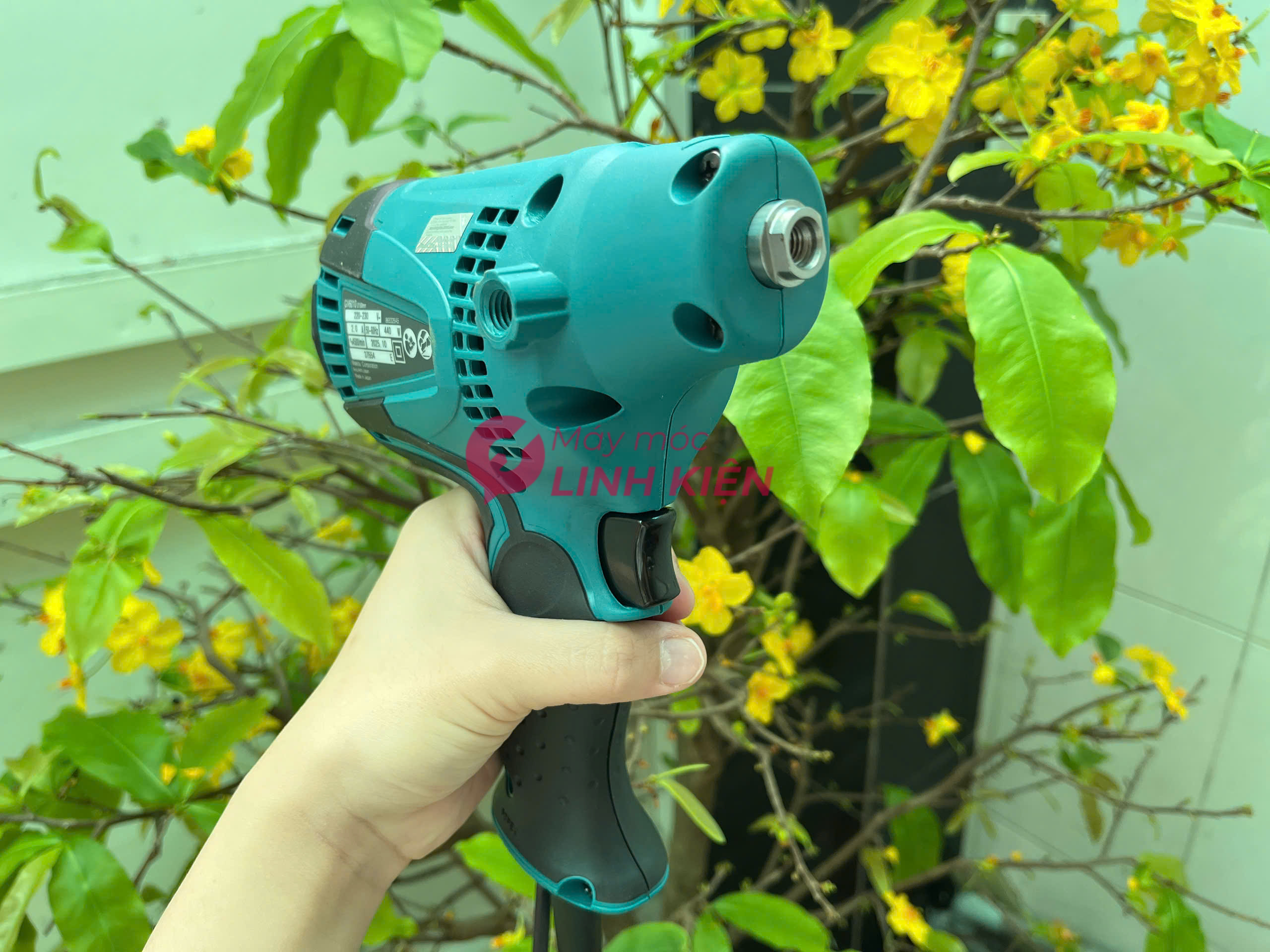 Máy chà nhám đĩa Makita GV6010 6" 3